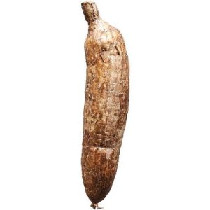 WABU Maniok/Yuca / Cassava – Frische Maniokwurzel